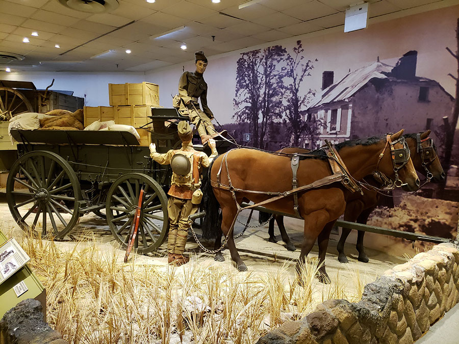 A museum exhibit with horses and carriage at the US Army Transportation Museum.